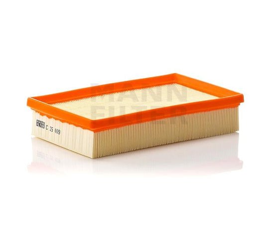 C25009 Mann-Filter
