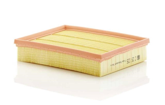 C25035 Filtro de aire  en stock Granada