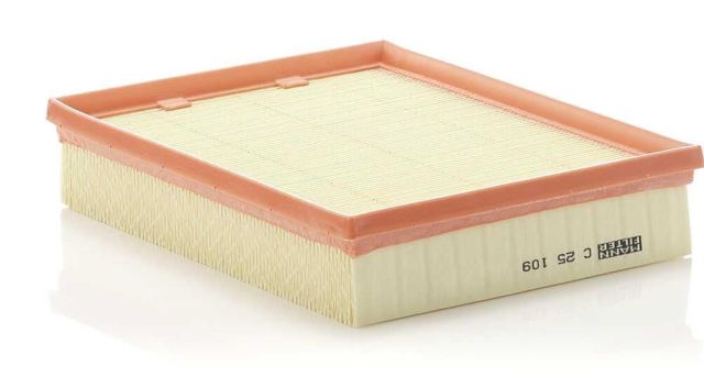 C25109 Filtro de aire  comprar en Pontevedra