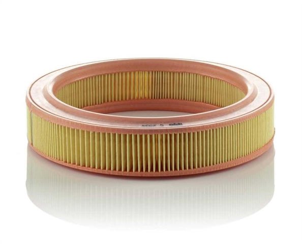 C2534 Mann-Filter