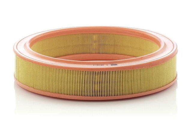 MANN C28731 Filtro de aire  comprar en Ponferrada