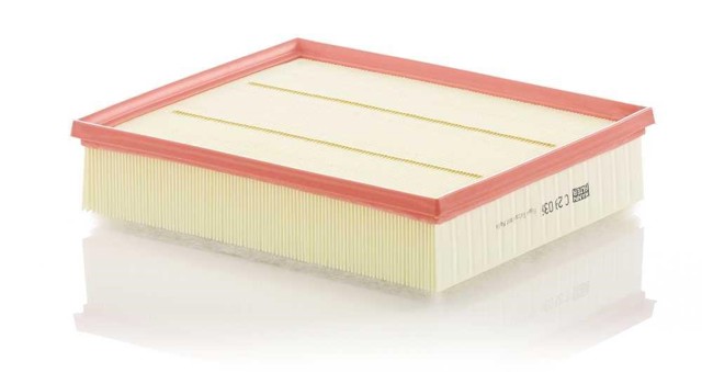 MANN C29036 Filtro de aire  en stock Salamanca