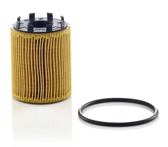 MANN HU7041Z Filtro de aceite  comprar en Murcia