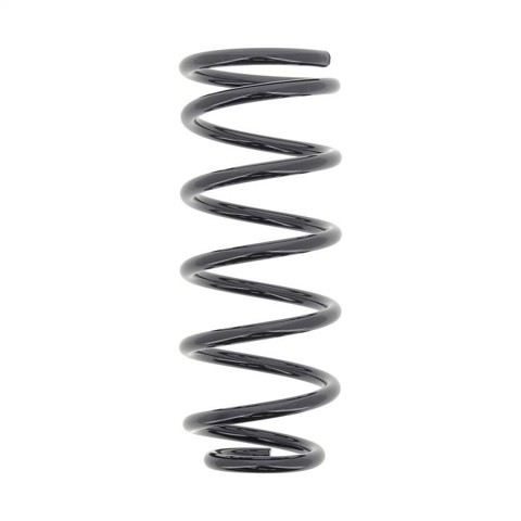 Muelle trasero Mini Cooper  (2005-2014)
