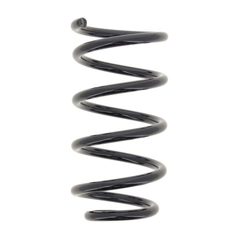 Muelle trasero Fiat Punto II (2000-2010)