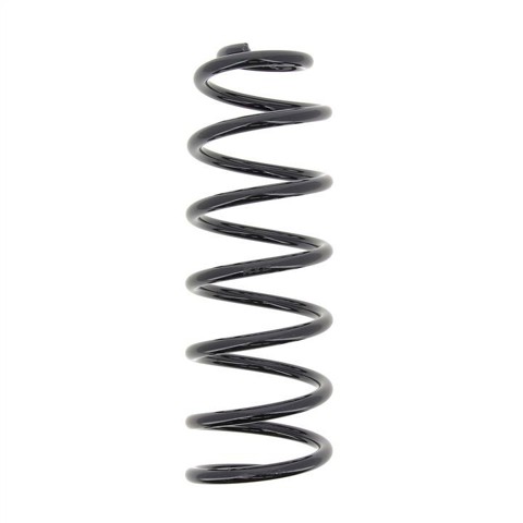 Muelle trasero Peugeot Expert  (2007-2016)