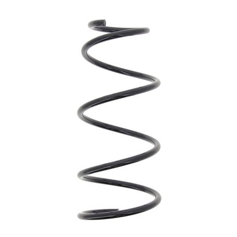 RG5218 Muelle trasero  disponible Burgos