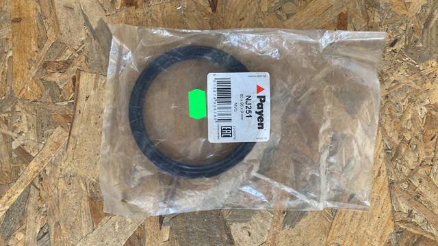 PAYEN NJ251 Retén de cigüeñal  en stock Valencia