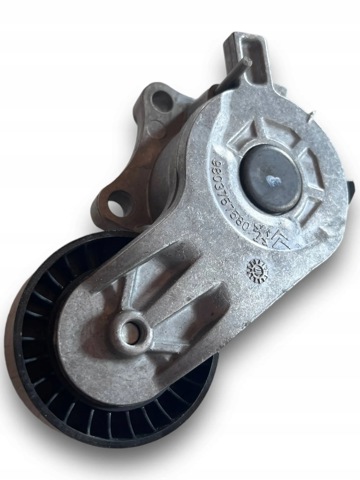 PEUGEOT 1613255480 Tensor de correa poli V  en stock Salamanca