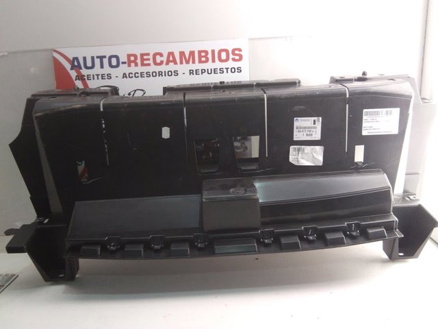 9847315880 Peugeot/Citroen