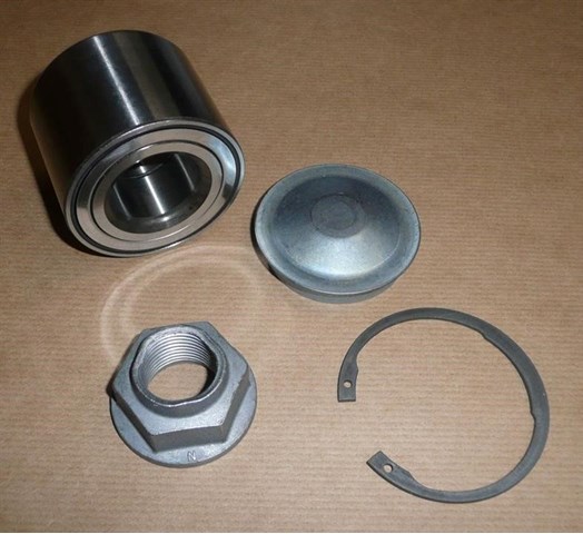 432102069R Cojinete de rueda trasero  disponible Burgos