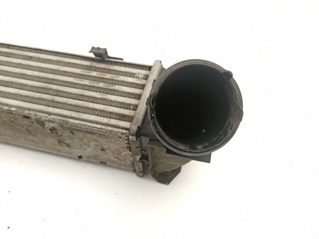 17517524916 BMW