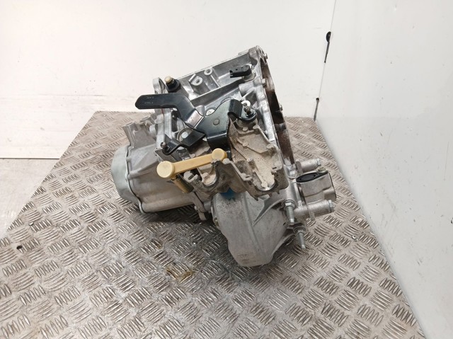 20DL29 Peugeot/Citroen