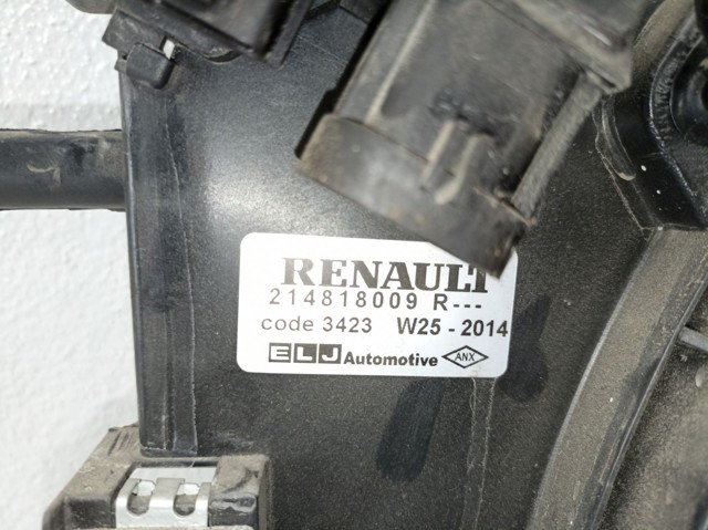 214818009R Renault (RVI)