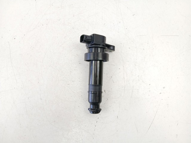 273012B010 Bobina de encendido  comprar en Reus