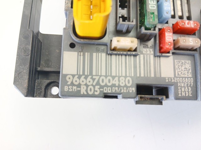 9666700480 Peugeot/Citroen