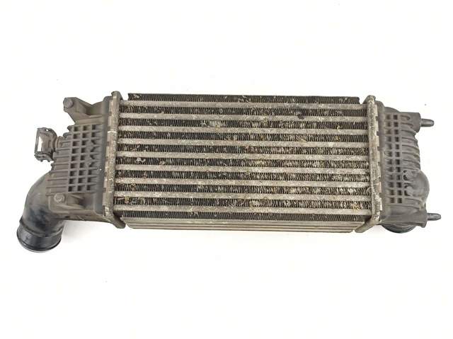 9683009680 Peugeot/Citroen