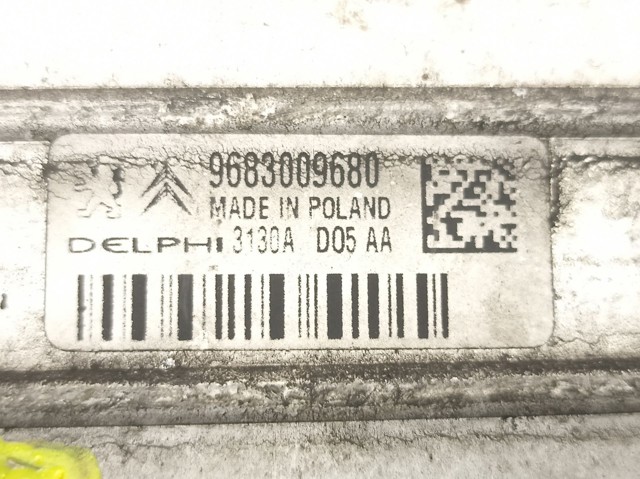 9683009680 Peugeot/Citroen