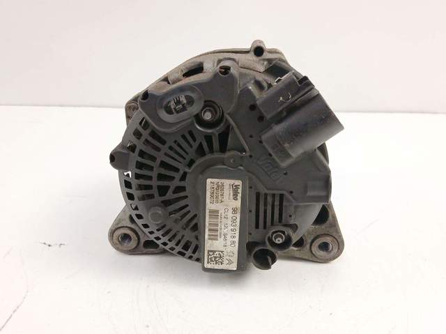 9809391880 Peugeot/Citroen