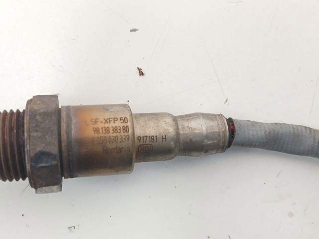 9813838380 Peugeot/Citroen