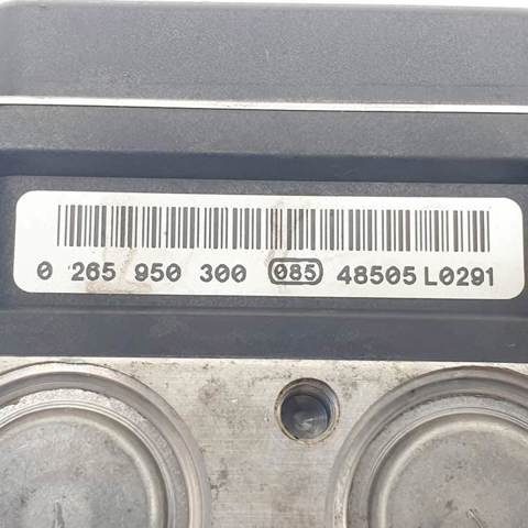 0265234138 Renault (RVI)