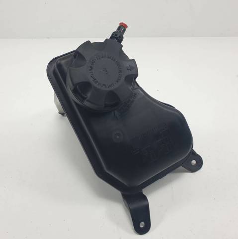 Botella expansion 17137543026 BMW