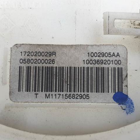 172020029R Renault (RVI)