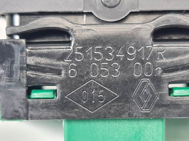 251534917R Renault (RVI)