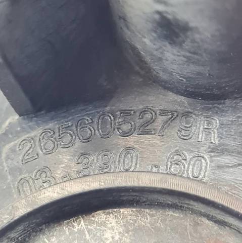 265605279R Renault (RVI)