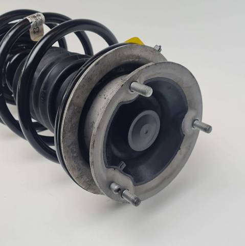 31316786005 BMW