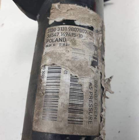 31319807007 BMW