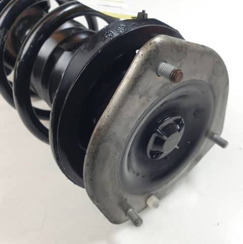 Amortiguador frontal izquierdo 31319807011 BMW