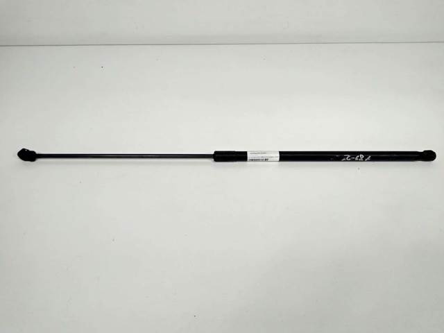Amortiguador de capó 3C0823359 VAG
