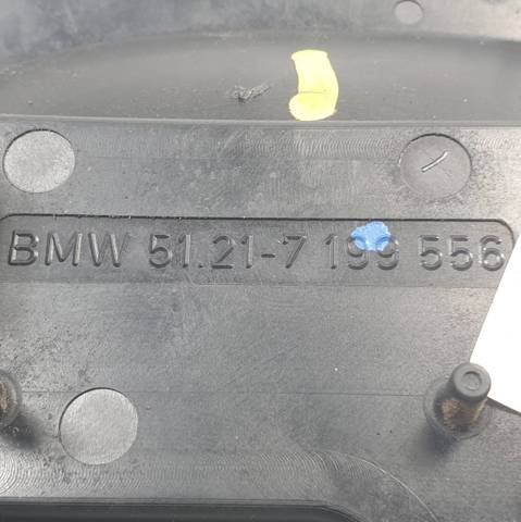 51217199556 BMW