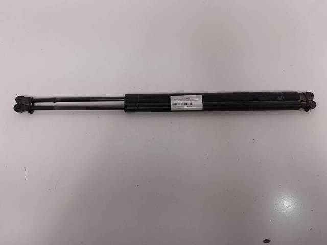 Amortiguador de puerta trasera 51248402405 BMW
