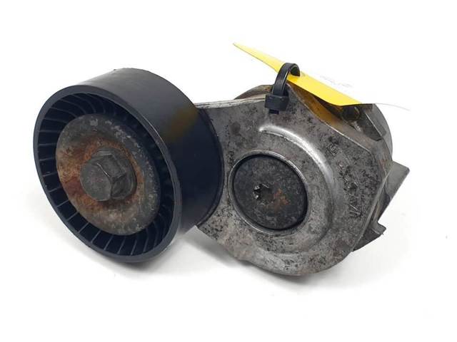 Tensor de correa poli V  55565570 OPEL