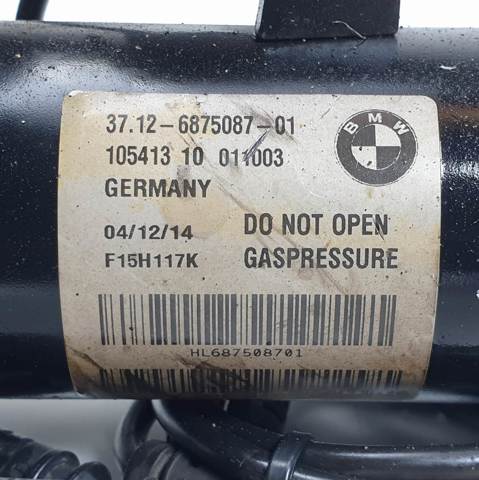Amortiguador trasero izquierdo 6875087 BMW