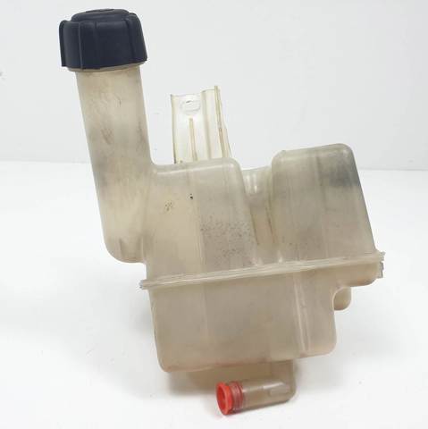 Botella expansion Renault Laguna II desde 28,46 €