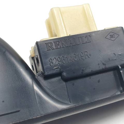 829614619R Renault (RVI)