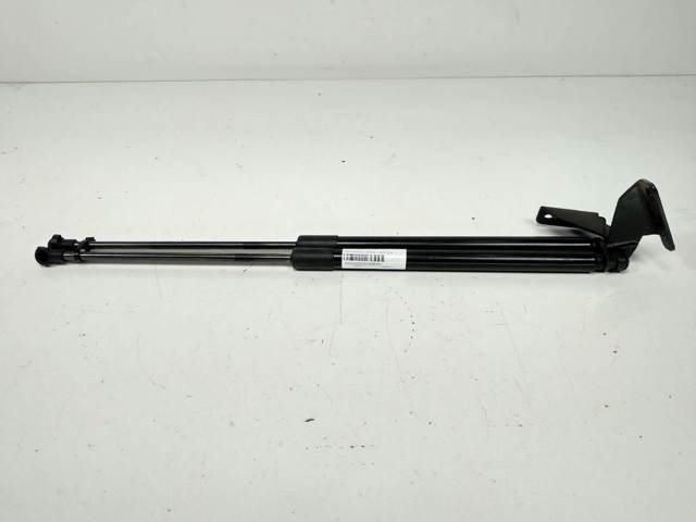 Amortiguador de porton 90450JD01C NISSAN