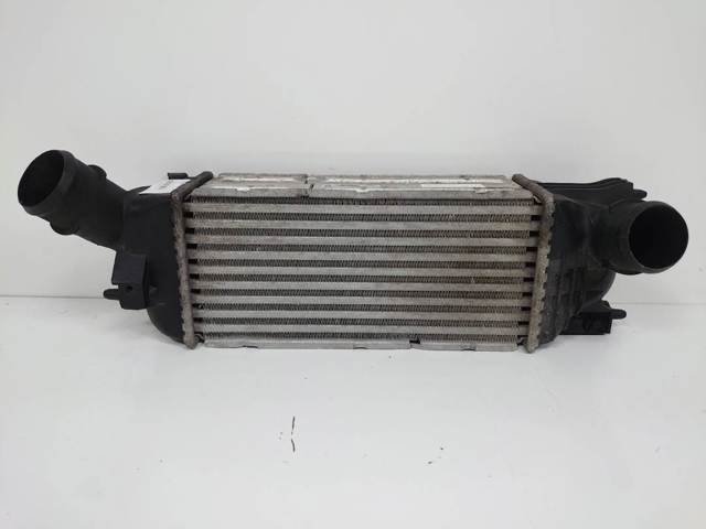 9645682880 Peugeot/Citroen