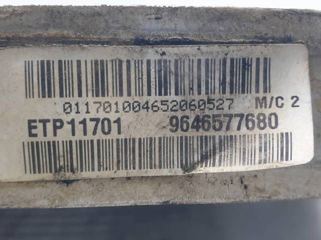 9646577680 Peugeot/Citroen
