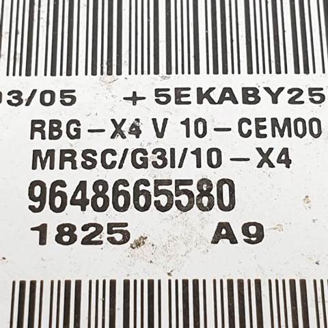 9648665580 Peugeot/Citroen