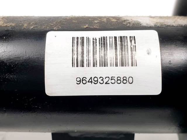 9649325880 Peugeot/Citroen