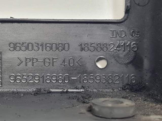 9650316080 Peugeot/Citroen