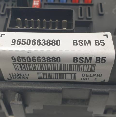 9650663880 Peugeot/Citroen