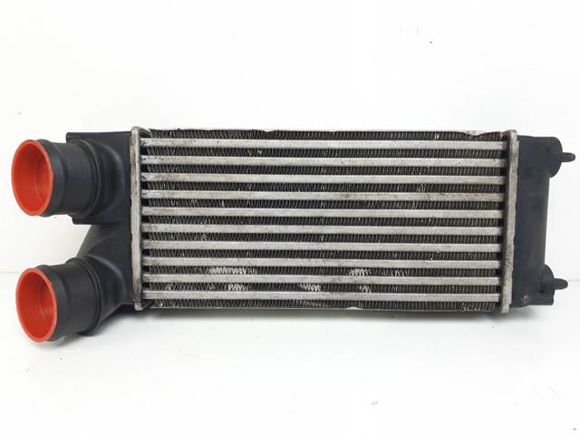 9656503480 Peugeot/Citroen