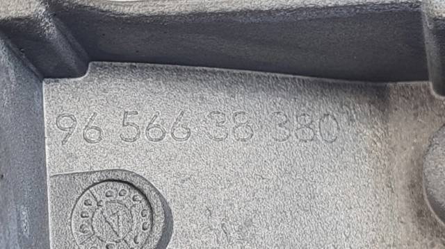 9656638380 Peugeot/Citroen