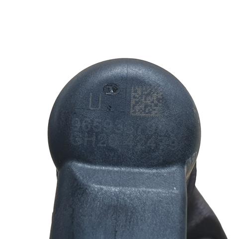9659337980 Peugeot/Citroen