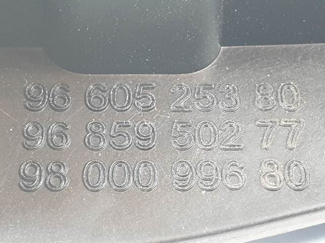 9660525380 Peugeot/Citroen